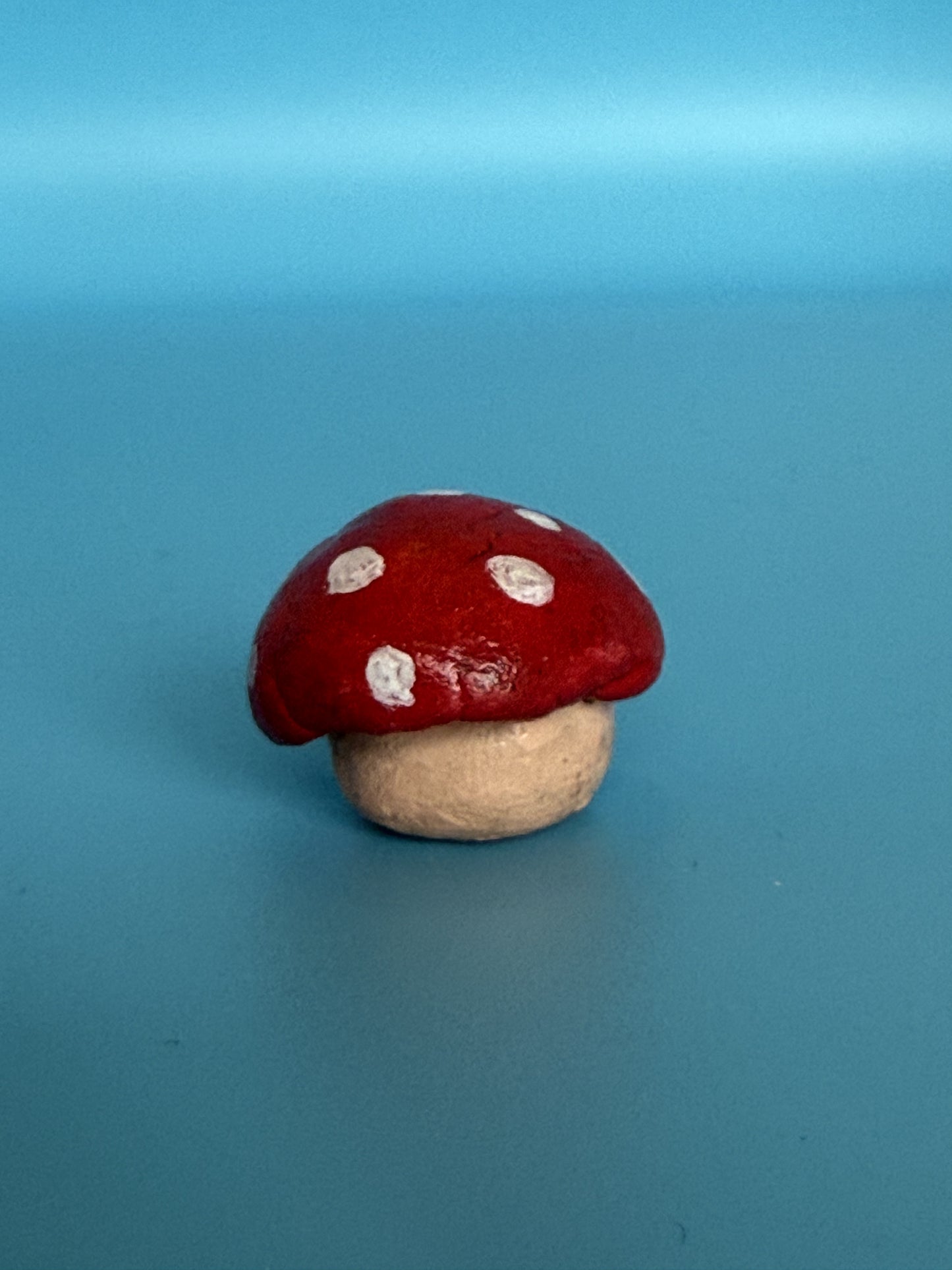 Tiny Treasure — Mushroom - GnomeNGarden