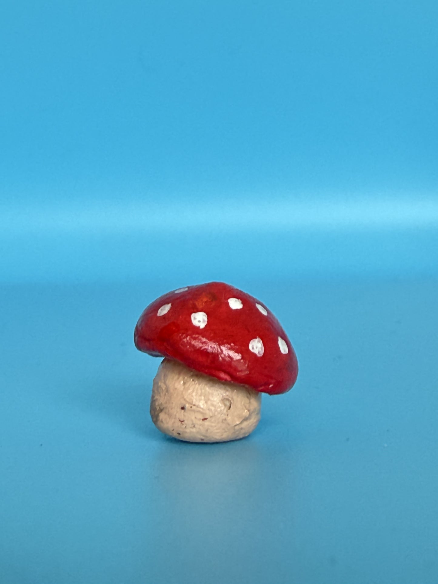 Tiny Treasure — Mushroom - GnomeNGarden